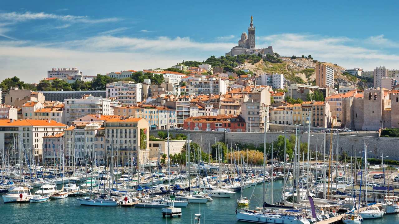 Marseille : Ne subissez plus le web, dominez votre secteur avec l&rsquo;Agence Telo